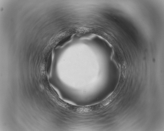 X0000056320714200509092302