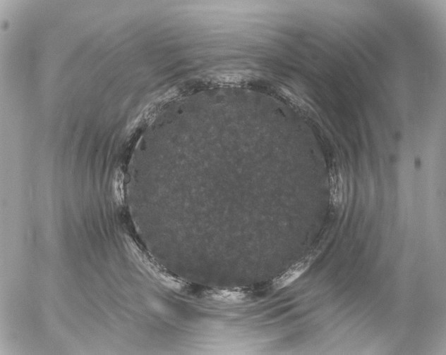 X0000056320718200509092302