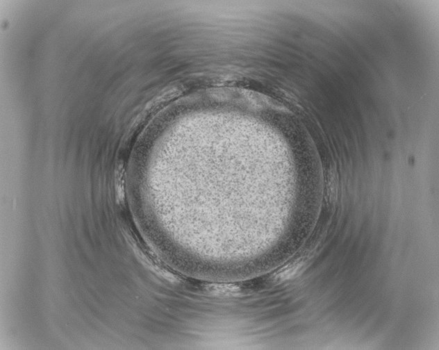 X0000056320719200509092302