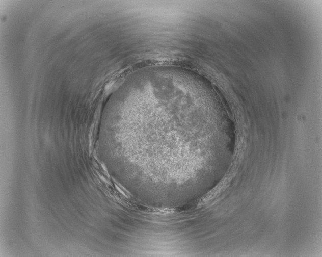 X0000056320720200509092302