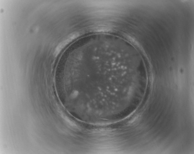 X0000056320721200509092301