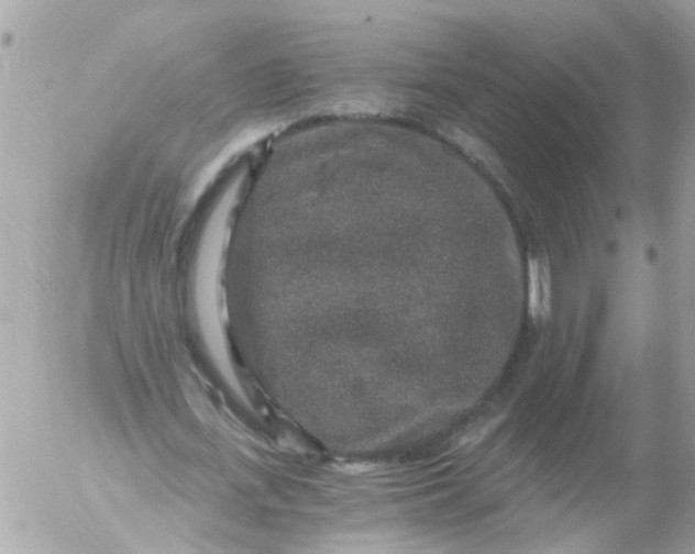 X0000056320723200509092302