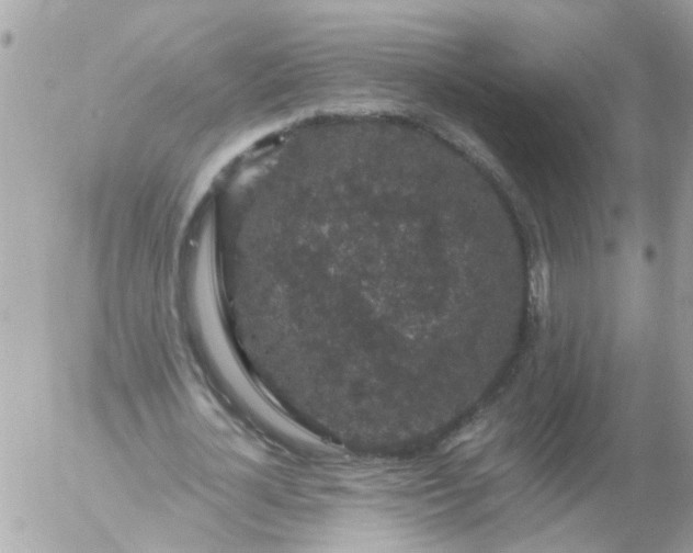 X0000056320724200509092302