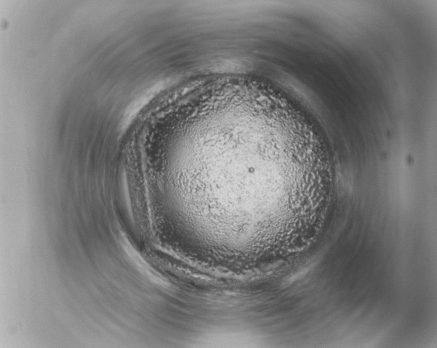 X0000056320725200509092302