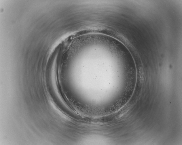 X0000056320726200509092302