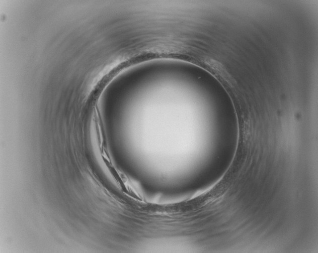 X0000056320727200509092302