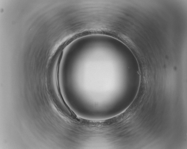 X0000056320728200509092302