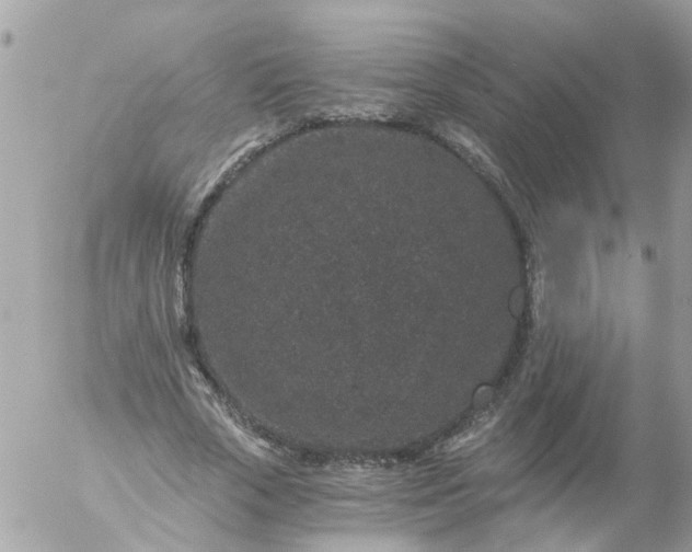 X0000056320729200509092302