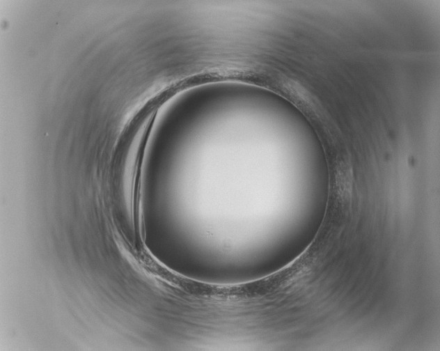 X0000056320730200509092302