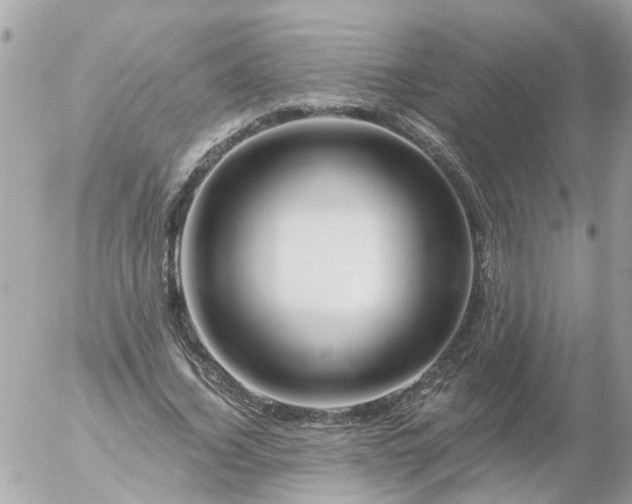 X0000056320732200509092302