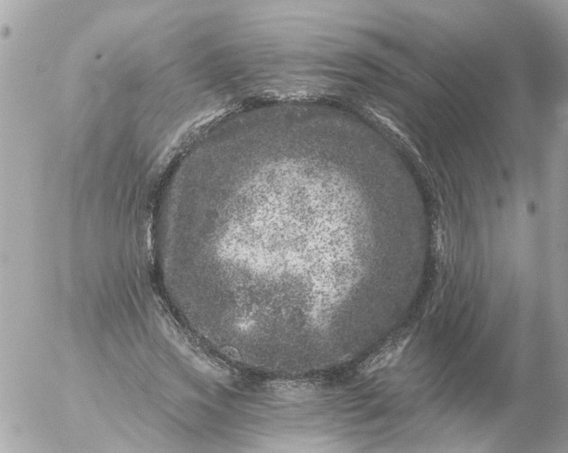 X0000056320733200509092302