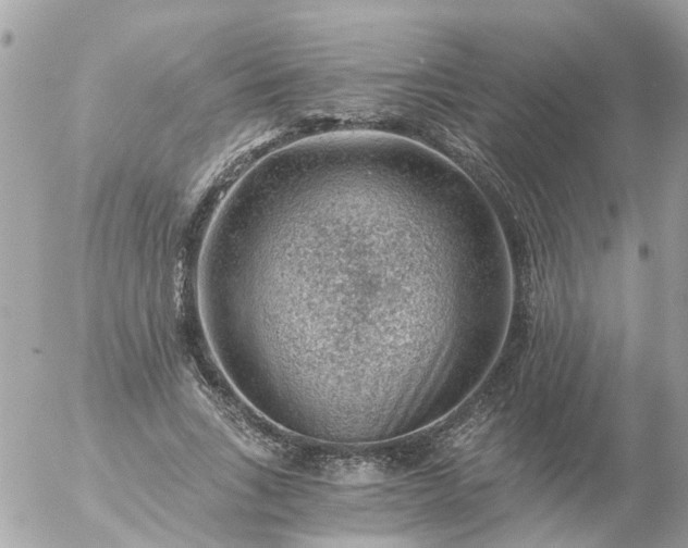 X0000056320735200509092302