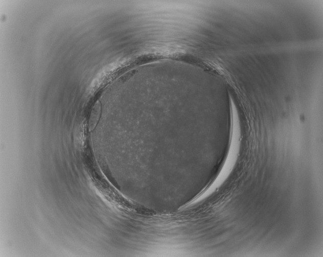 X0000056320736200509092302