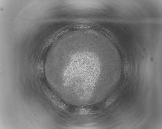 X0000056320737200509092302