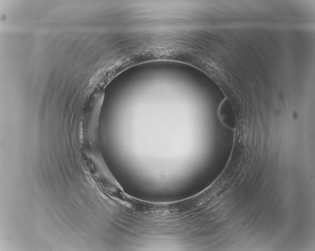 X0000056320740200509092302