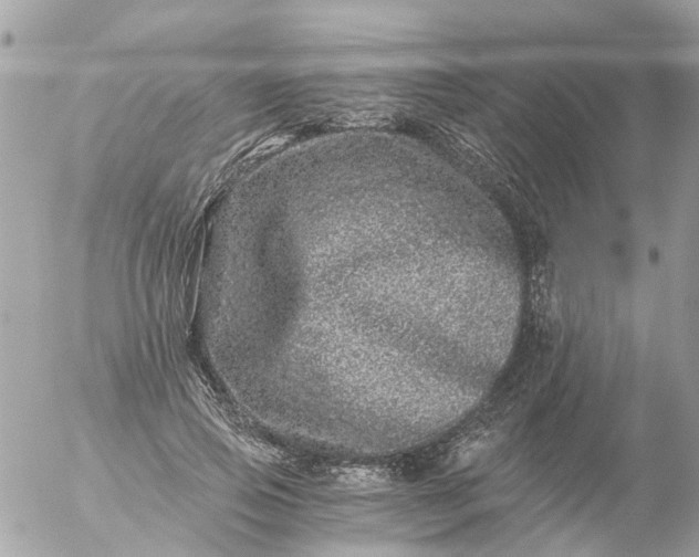 X0000056320741200509092302