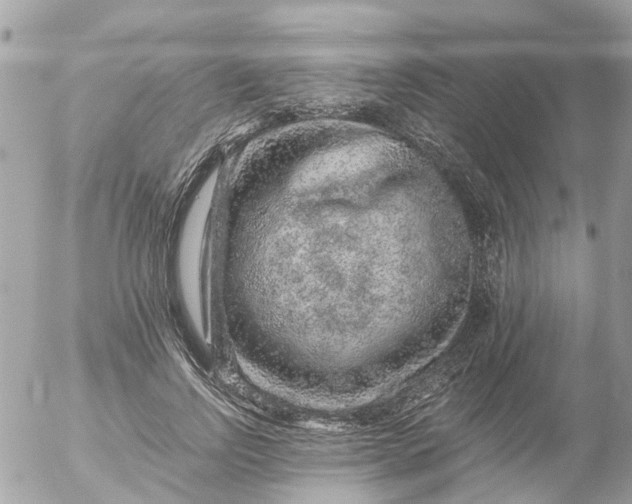 X0000056320742200509092302