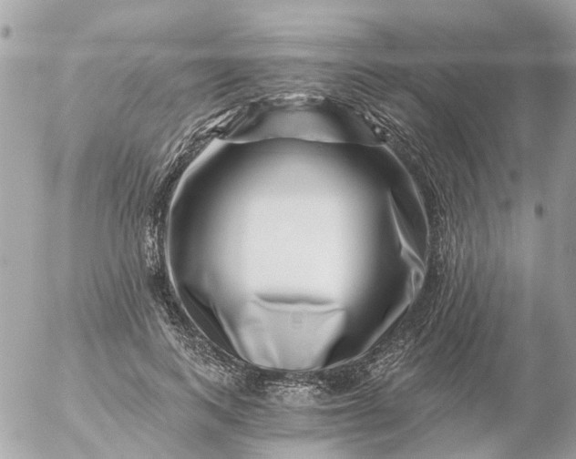 X0000056320743200509092302