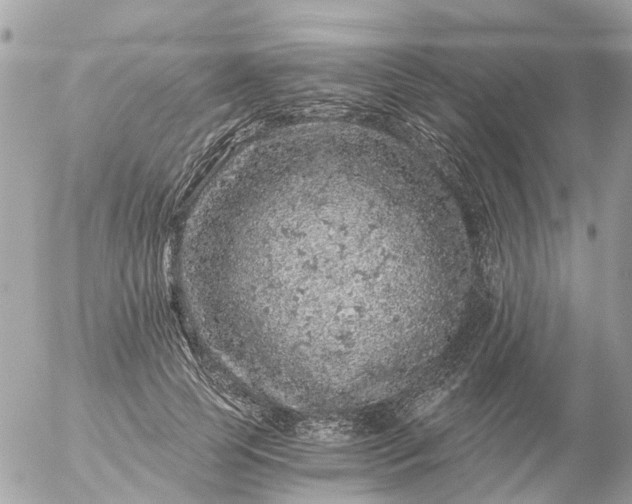 X0000056320745200509092302