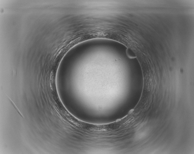 X0000056320747200509092302