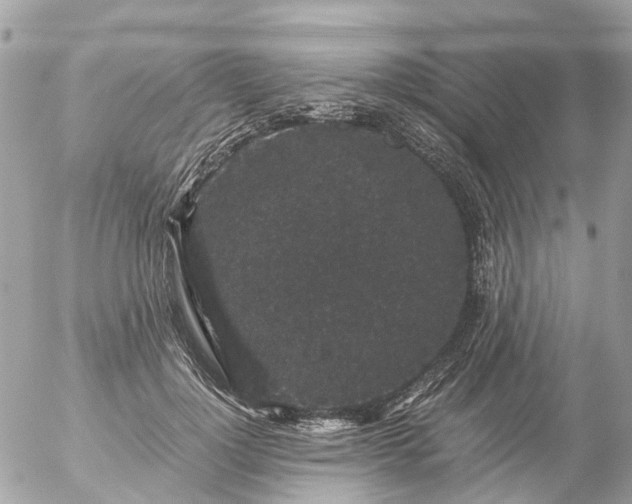 X0000056320748200509092302