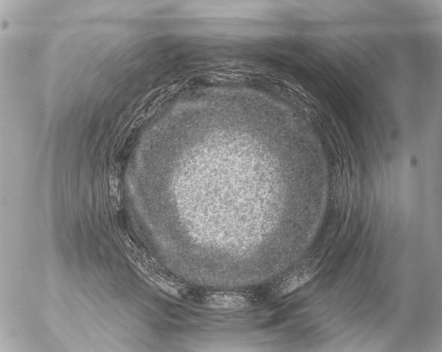 X0000056320749200509092302