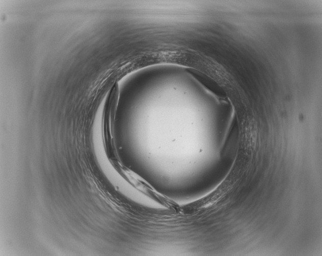 X0000056320750200509092302