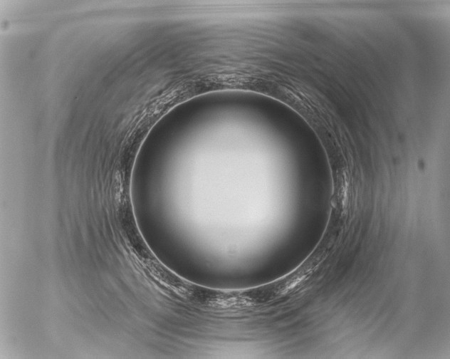 X0000056320752200509092302