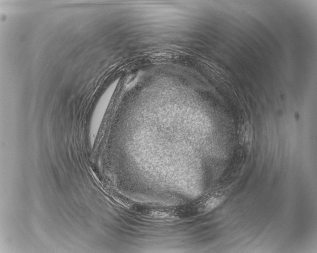 X0000056320753200509092302