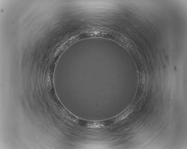 X0000056320754200509092302