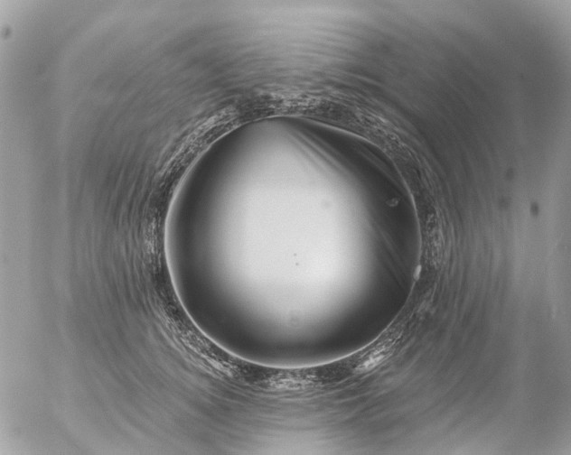 X0000056320756200509092302