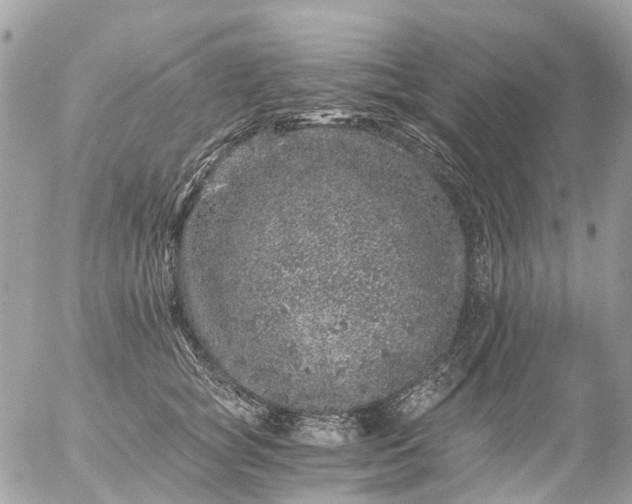 X0000056320757200509092302