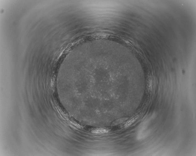 X0000056320759200509092302