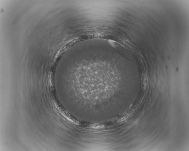 X0000056320760200509092302