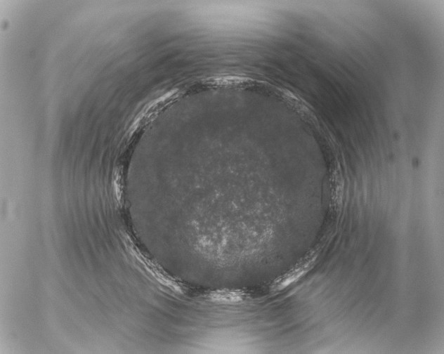 X0000056320762200509092302