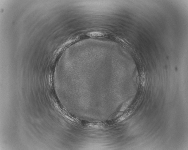 X0000056320763200509092302