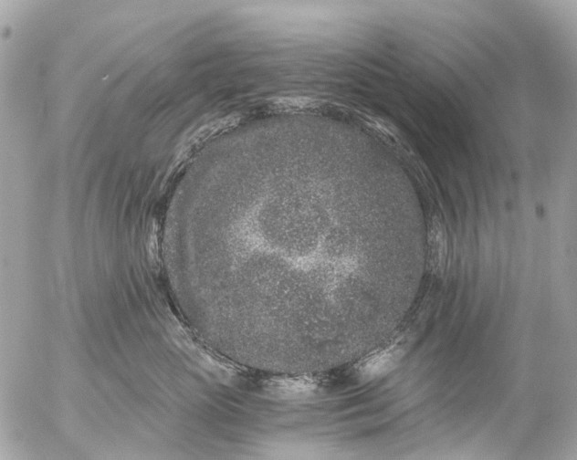 X0000056320765200509092302