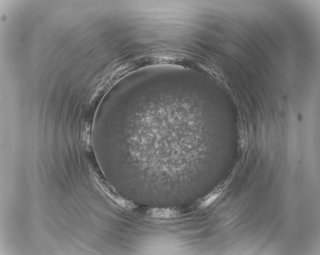 X0000056320766200509092302