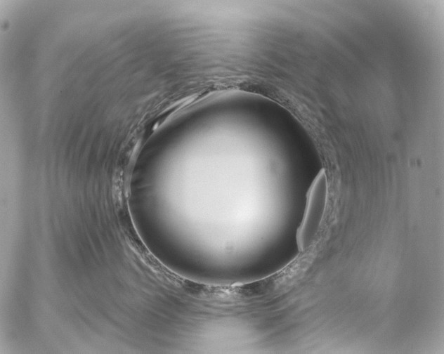 X0000056320768200509092302