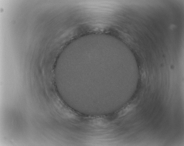 X0000056320769200509092301