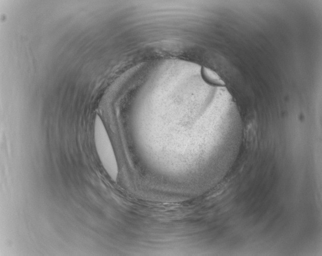 X0000056320772200509092301