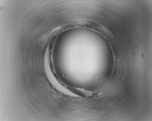 X0000056320773200509092301