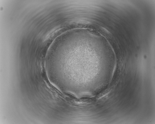 X0000056320774200509092301