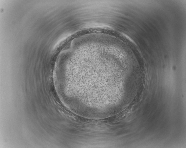 X0000056320775200509092301