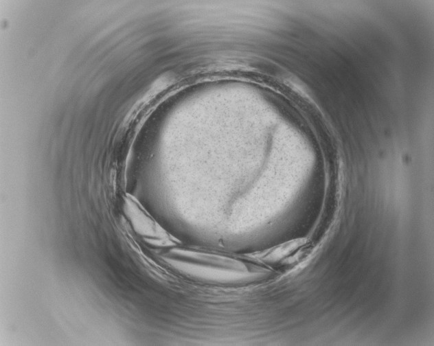 X0000056320777200509092301