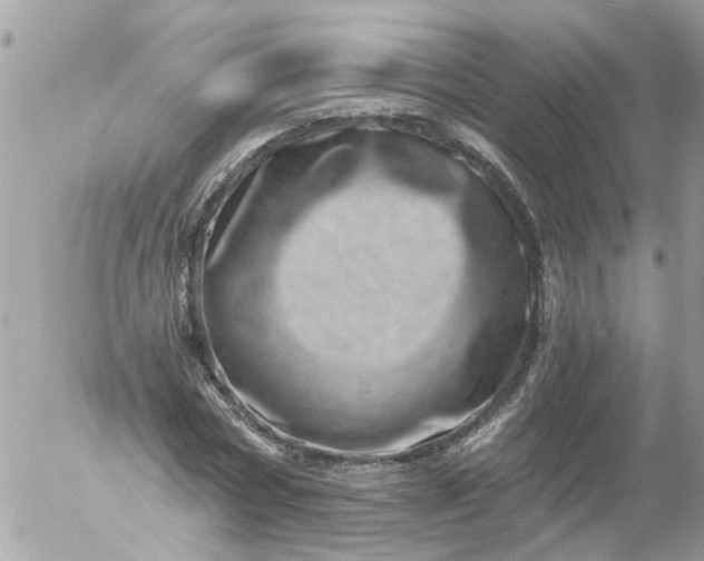 X0000056320778200509092301