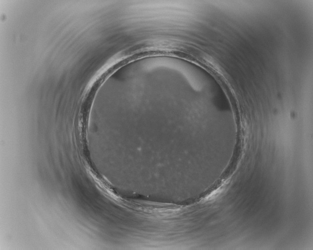 X0000056320779200509092301