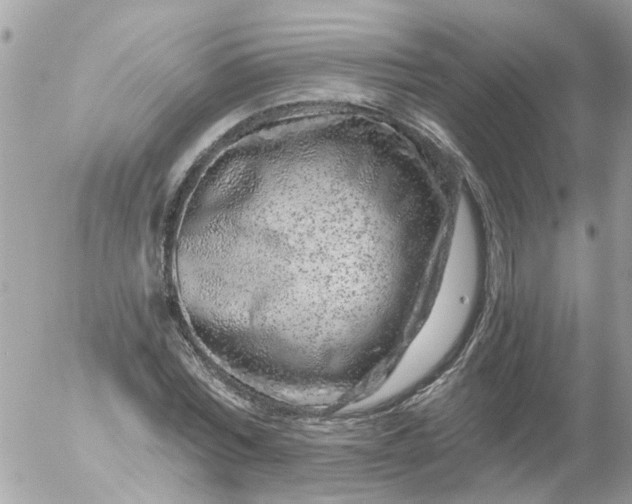 X0000056320780200509092301