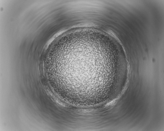 X0000056320781200509092301