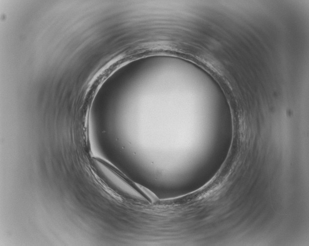 X0000056320782200509092301